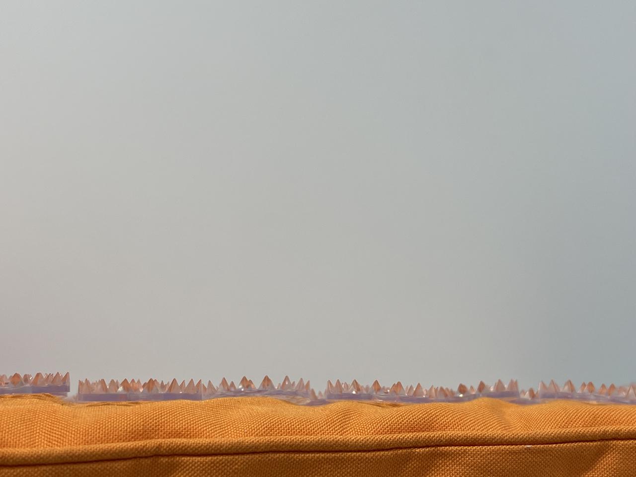 画像: 大先輩から言われた一言で意識を高める