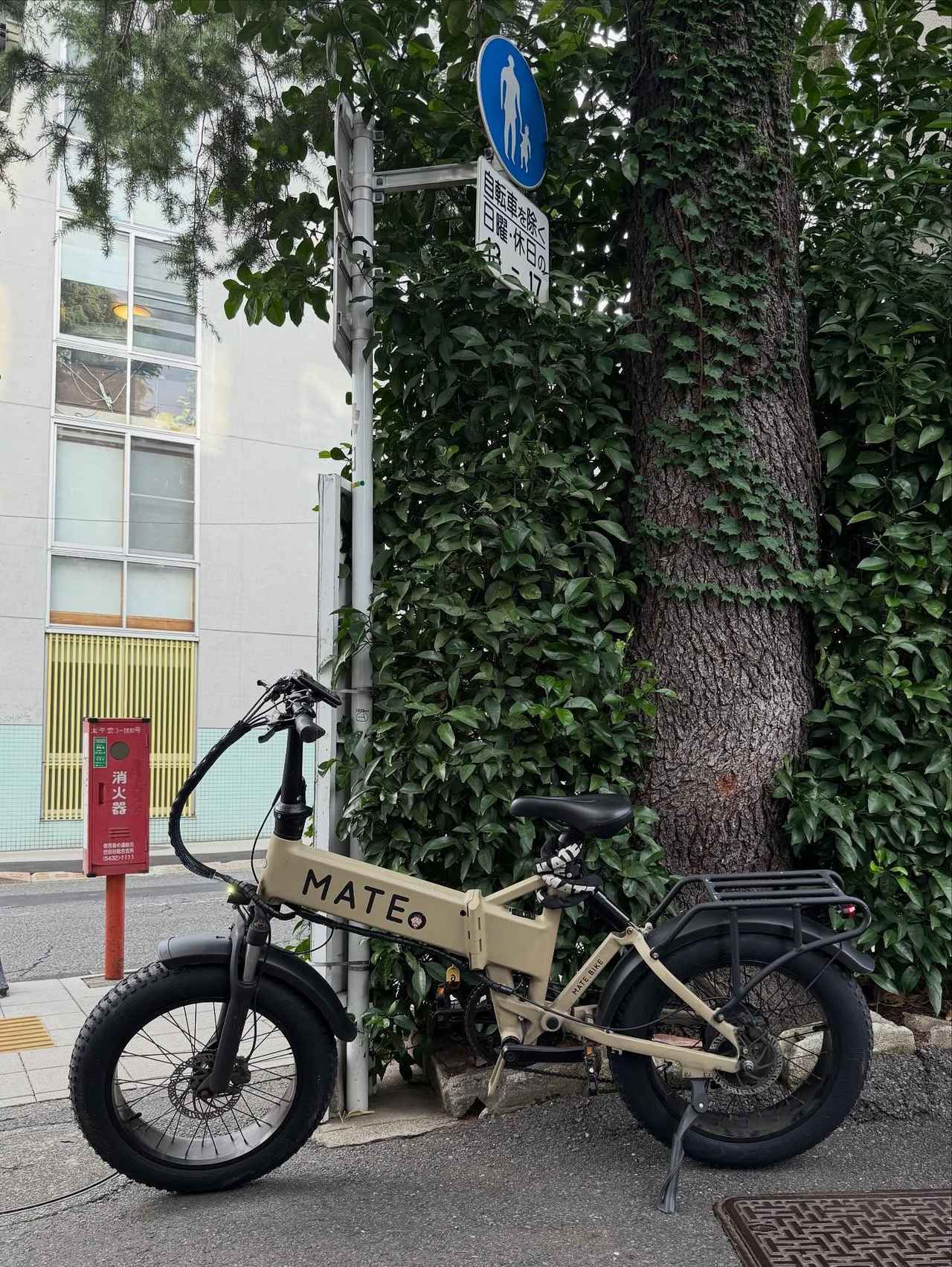 画像3: 出典:Instagram