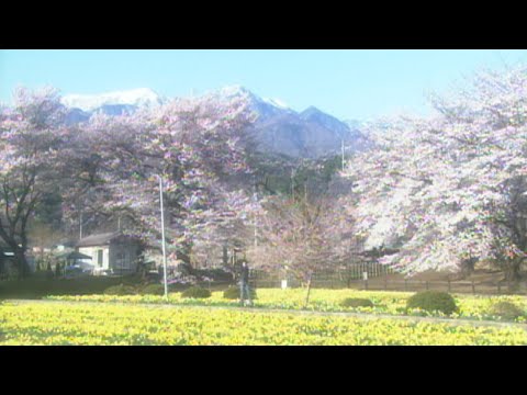 画像: 竹内まりや - 人生の扉 (Official Music Video) www.youtube.com