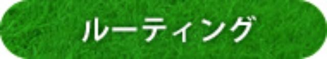 ルーティング
