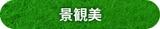 景観美