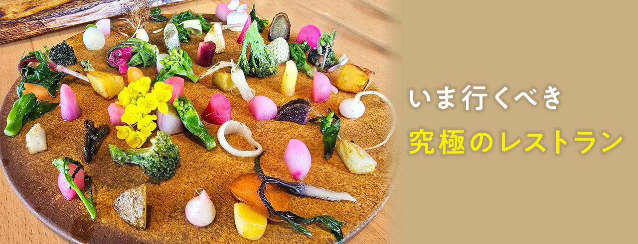 いま行くべき究極のレストラン