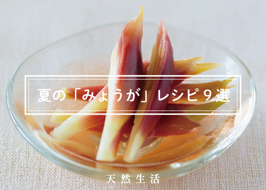 夏に楽しむ「みょうがレシピ」9選
