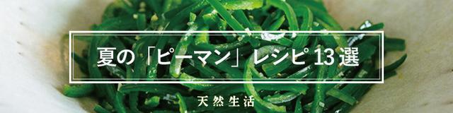 夏においしい「ピーマン」の絶品レシピ13選