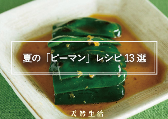 夏においしい「ピーマン」の絶品レシピ13選