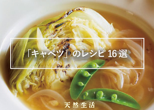 「キャベツ」の絶品レシピ16選