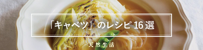 「「キャベツ」の絶品レシピ16選