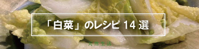 「白菜の人気レシピ」14選