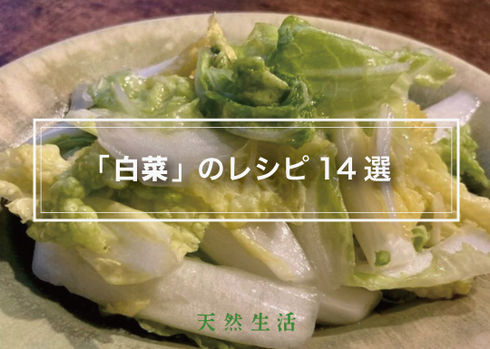 「白菜」の人気レシピ14選