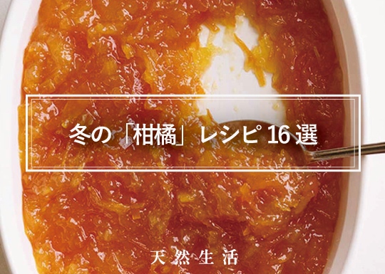 冬の「柑橘」レシピ16選