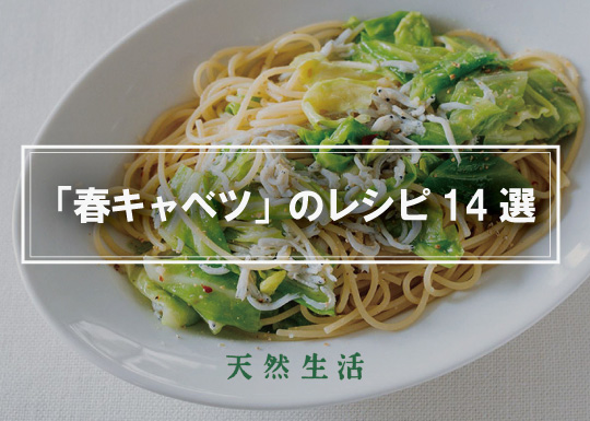 「春キャベツ」の人気レシピ14選