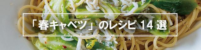 「春キャベツ」の人気レシピ14選