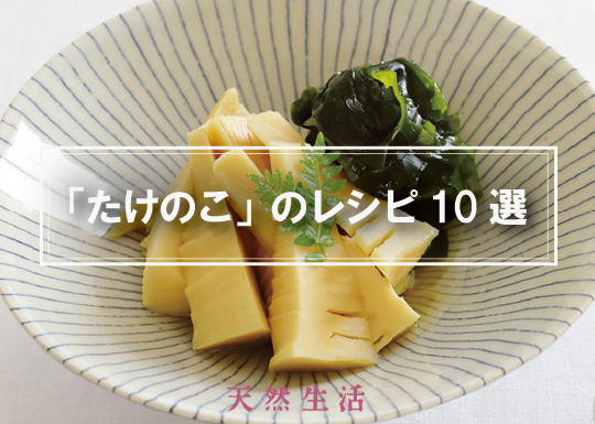 「たけのこ」の人気レシピ10選