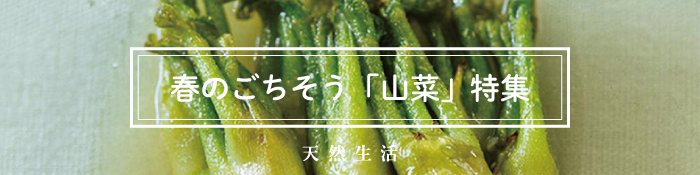 「山菜」の絶品レシピ15選