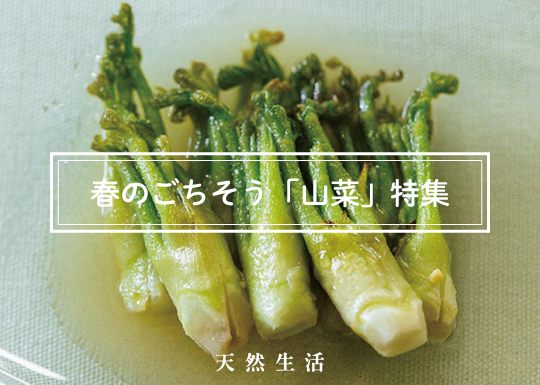 「山菜」の絶品レシピ15選