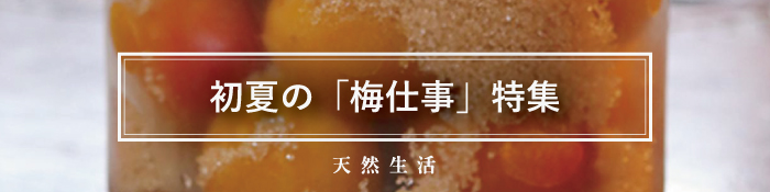 かんたん「梅仕事」特集