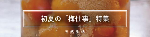 かんたん「梅仕事」特集