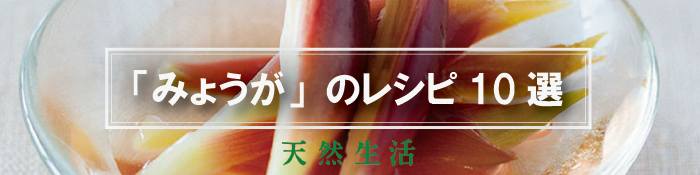 旬の「みょうが」を楽しむ人気レシピ10選