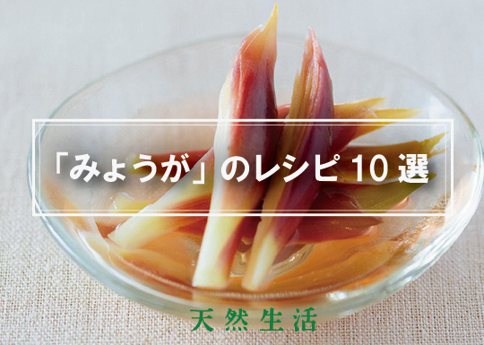 旬の「みょうが」を楽しむ人気レシピ10選