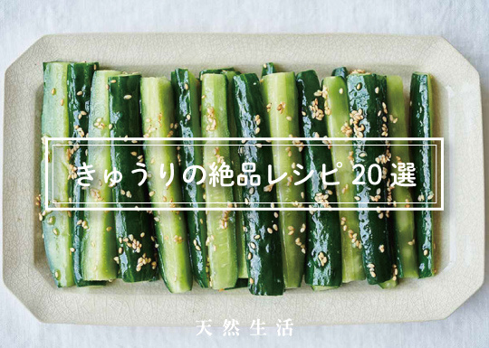 夏にうれしい「きゅうり」の絶品レシピ20選