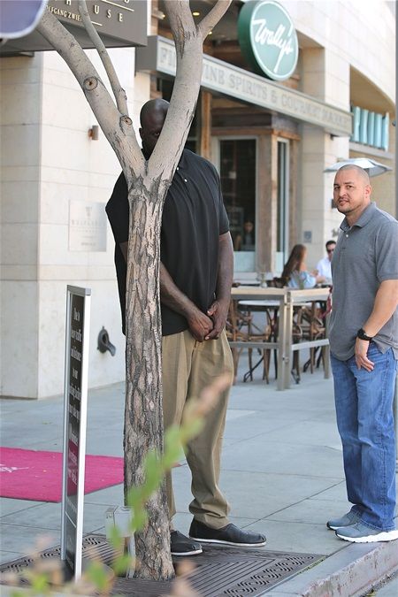シャキール・オニール、NBA選手、パパラッチ、ウルフギャング