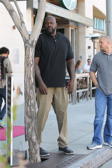 シャキール・オニール、NBA選手、パパラッチ、ウルフギャング