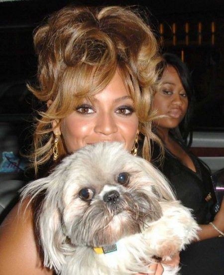 ビヨンセ Beyonce 愛犬 マンチー