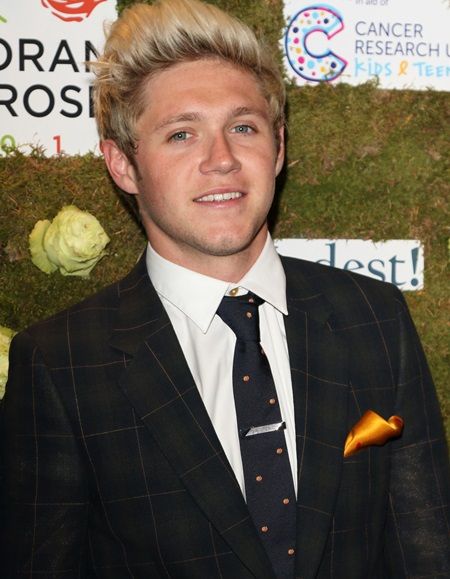 ナイル・ホーラン Niall Horan
