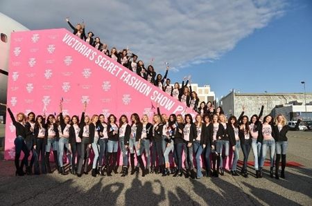 ヴィクトリアズ・シークレット Victoria's Secret ファッションショー パリ 飛行機 ヴィクシー仕様 可愛い モデル勢ぞろい ピンクのTシャツ おそろい