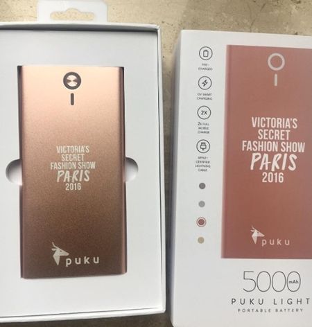 ヴィクトリアズ・シークレット Victoria's Secret ファッションショー パリ 飛行機 ヴィクシー仕様 可愛い モデル勢ぞろい ピンクのTシャツ おそろい