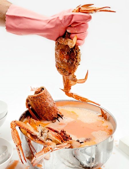 ブラッド・ピット料理本 Fat Brad The Cookbook 映画で食べたものをレシピ化